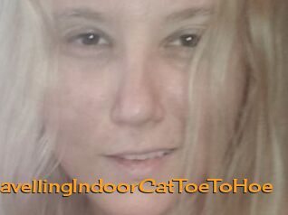 TravellingIndoorCatToeToHoe