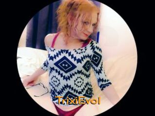 TrixiEvol