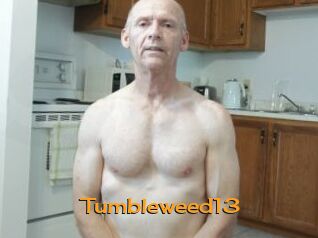 Tumbleweed13 Sortez Couvert