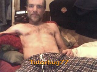 Tutorbug77