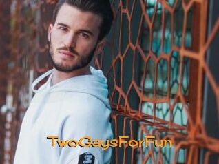 TwoGaysForFun
