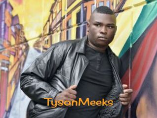 TysonMeeks Sortez Couvert