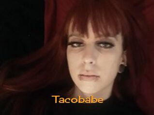 Tacobabe