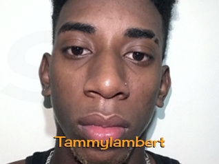 Tammylambert