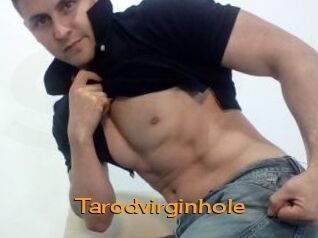 Tarodvirginhole
