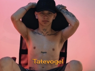 tatevogel Sortez Couvert