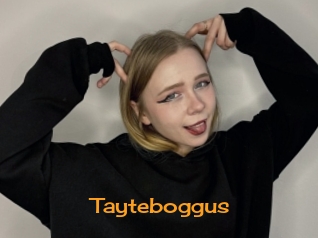 Tayteboggus