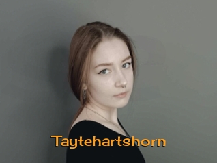 Taytehartshorn