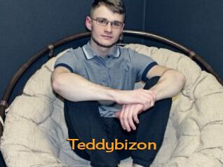 Teddybizon