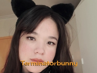 Terminatorbunny