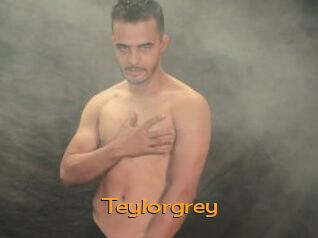 Teylorgrey