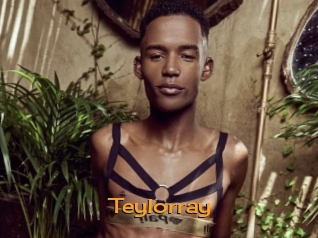 teylorray Sortez Couvert