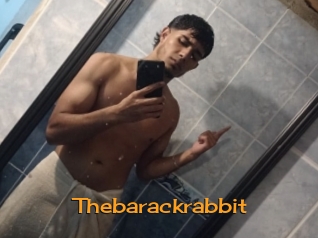 Thebarackrabbit