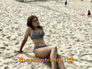 Thepalmtreegirl18
