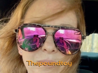 Thepoundtoy