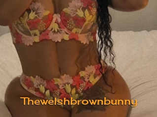 Thewelshbrownbunny