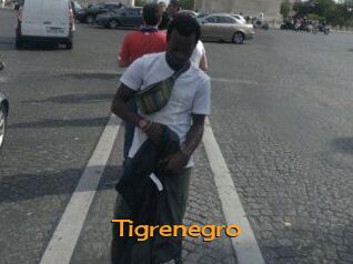 Tigrenegro