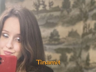 Tinamit