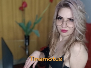 tinamotus Sortez Couvert