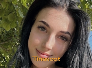 Tinascot