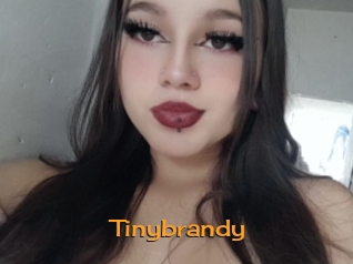 Tinybrandy