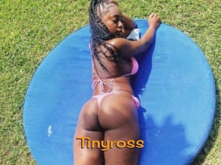 Tinyross