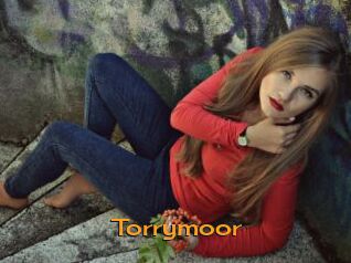 Torrymoor