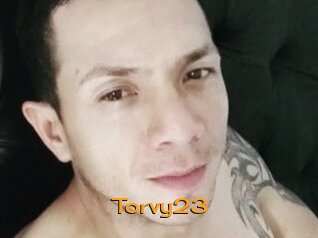 Torvy23