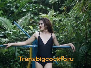 Transbigcockforu
