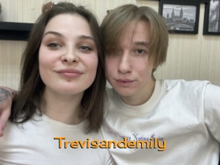 Trevisandemily