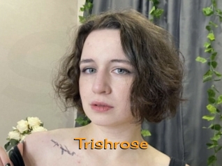 trishrose Sortez Couvert