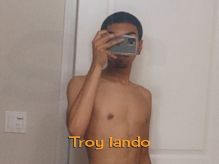 Troy_lando