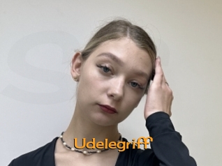 Udelegriff
