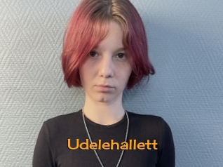 Udelehallett