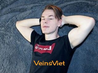 VeinsViet
