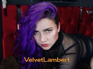 VelvetLambert