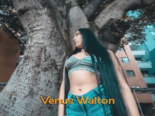 Venus_Walton
