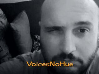 VoicesNoHue