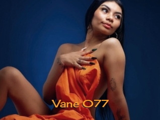 Vane_077