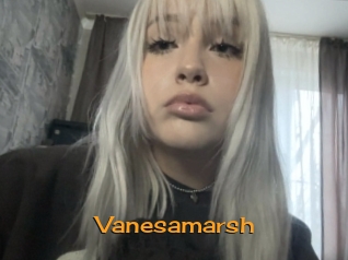 Vanesamarsh