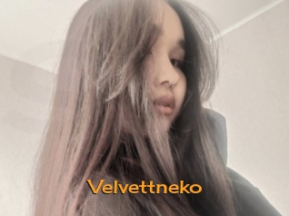 Velvettneko