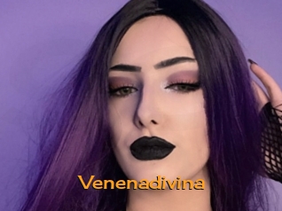 Venenadivina