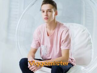 Viggomister