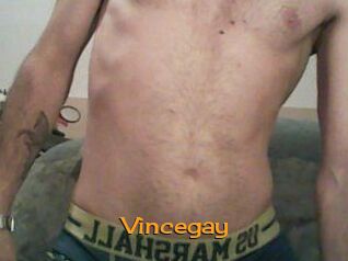 Vincegay