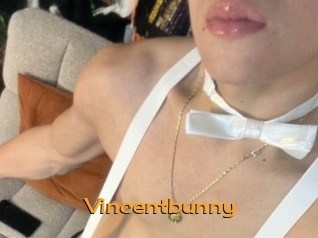 Vincentbunny