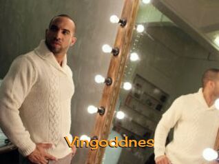 Vingoddnes