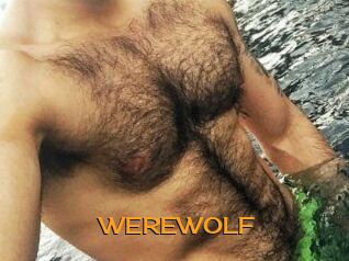 WEREWOLF