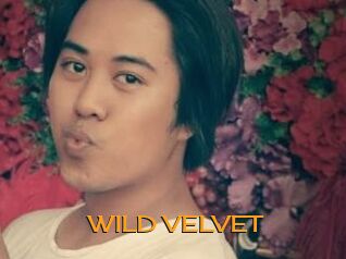 WILD_VELVET