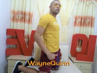 WayneQuinn