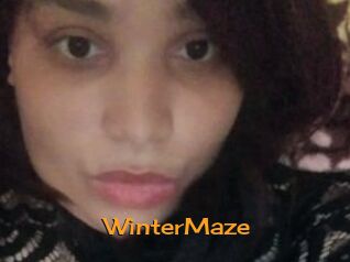 Winter_Maze